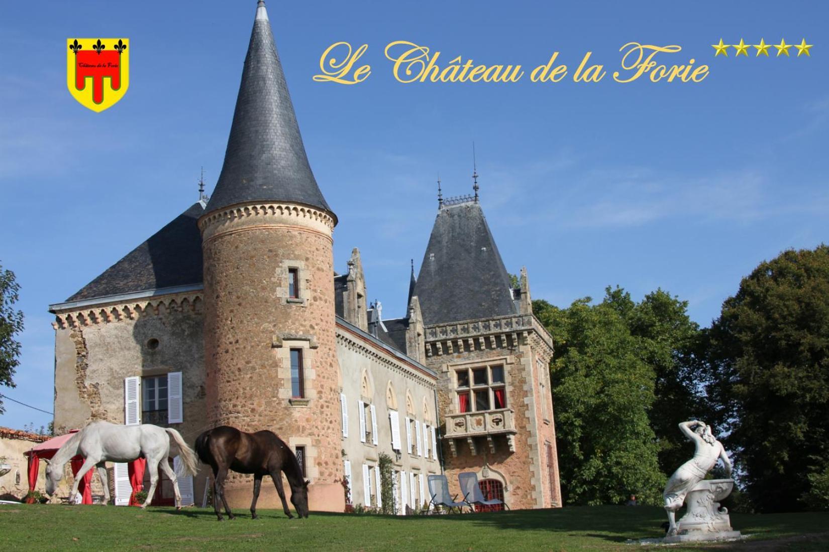 Chateau De La Forie Saint-Etienne-sur-Usson Exterior photo